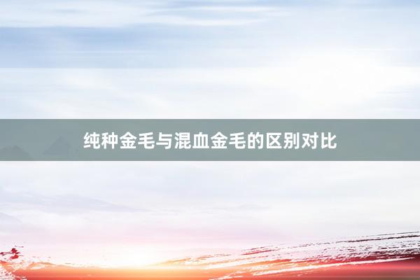 纯种金毛与混血金毛的区别对比