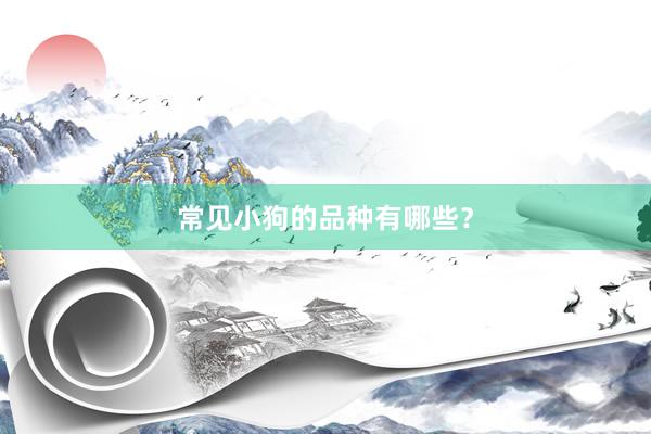 常见小狗的品种有哪些？