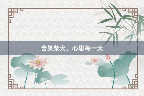 含笑柴犬，心思每一天